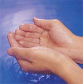 hands_clean.jpg
